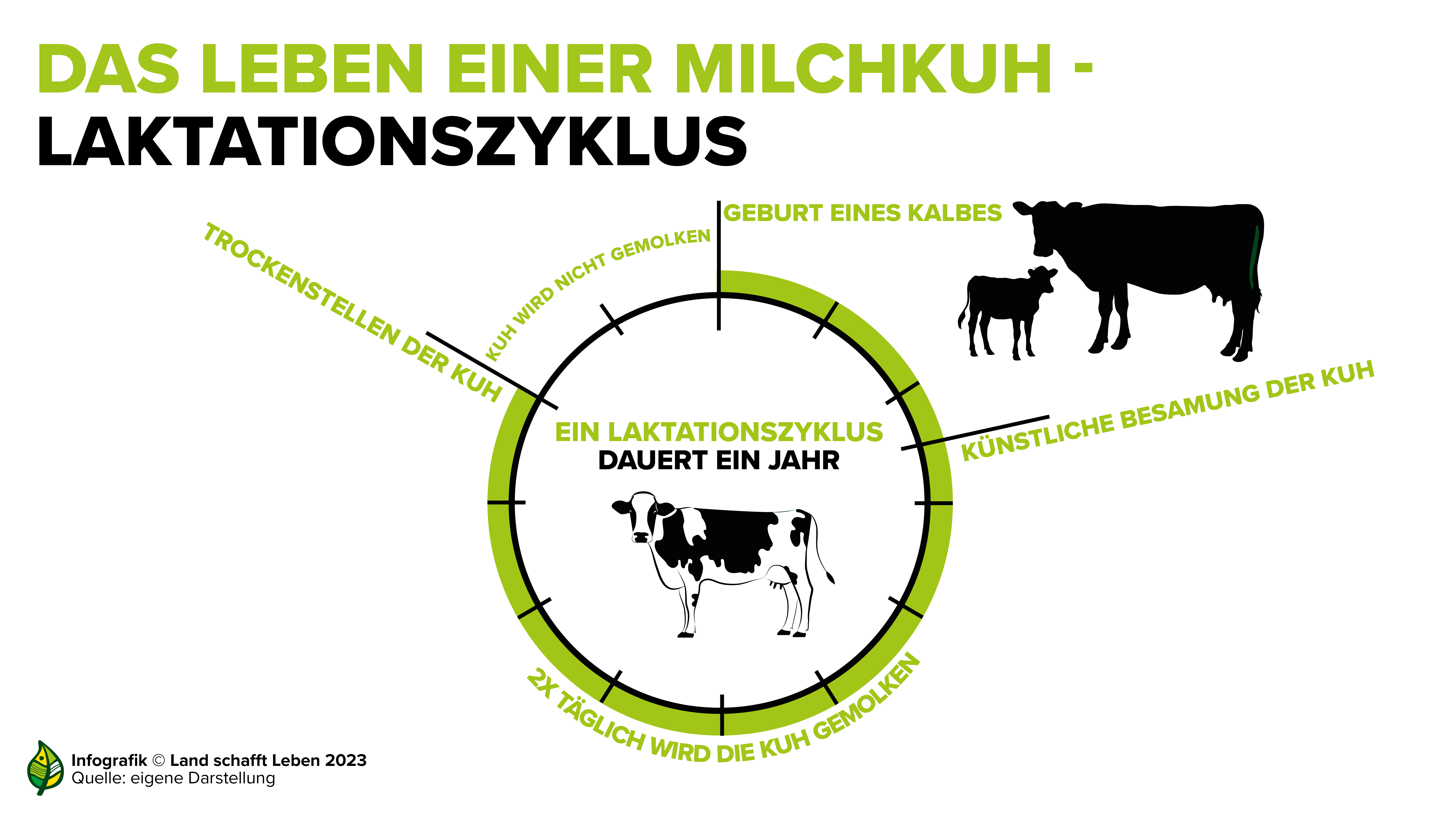 Infografiken zur Milch I Land schafft Leben